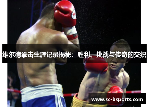 维尔德拳击生涯记录揭秘：胜利、挑战与传奇的交织