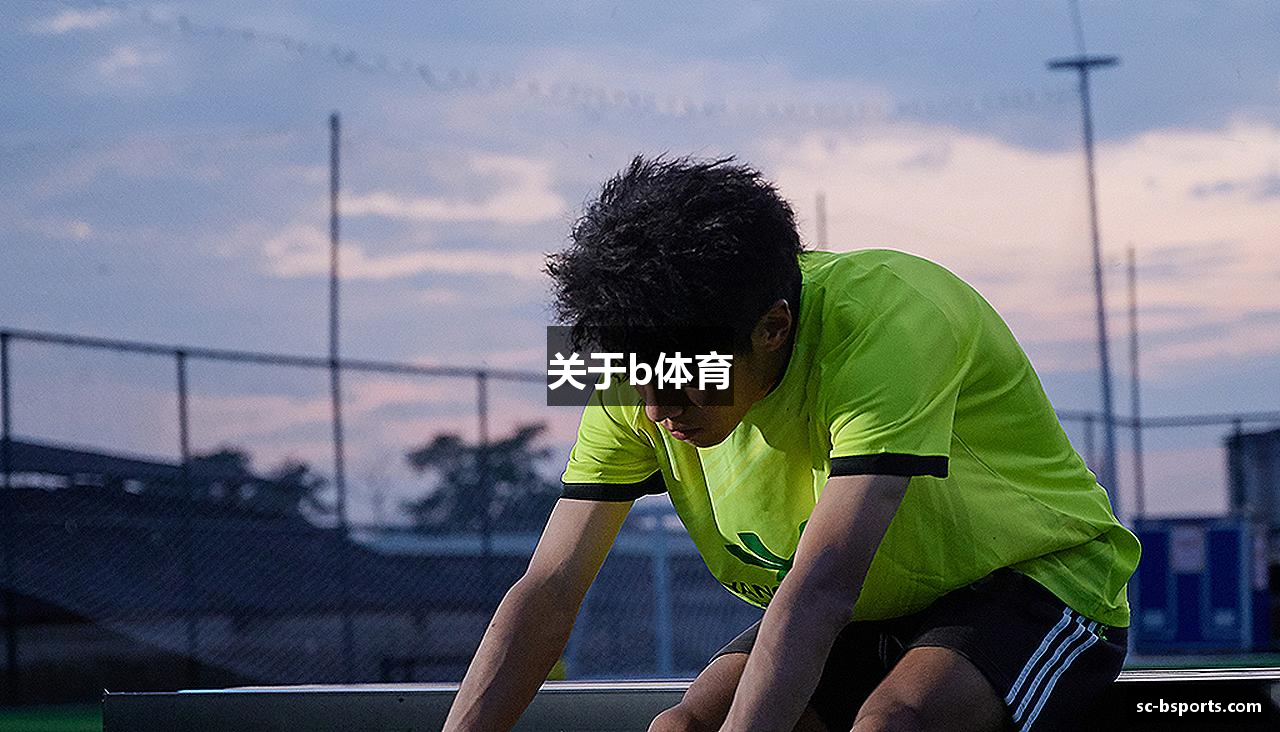 关于b体育